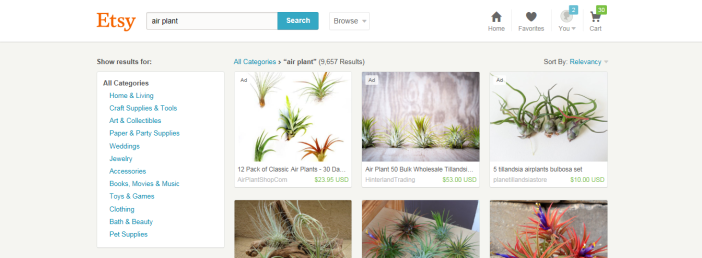 air plants